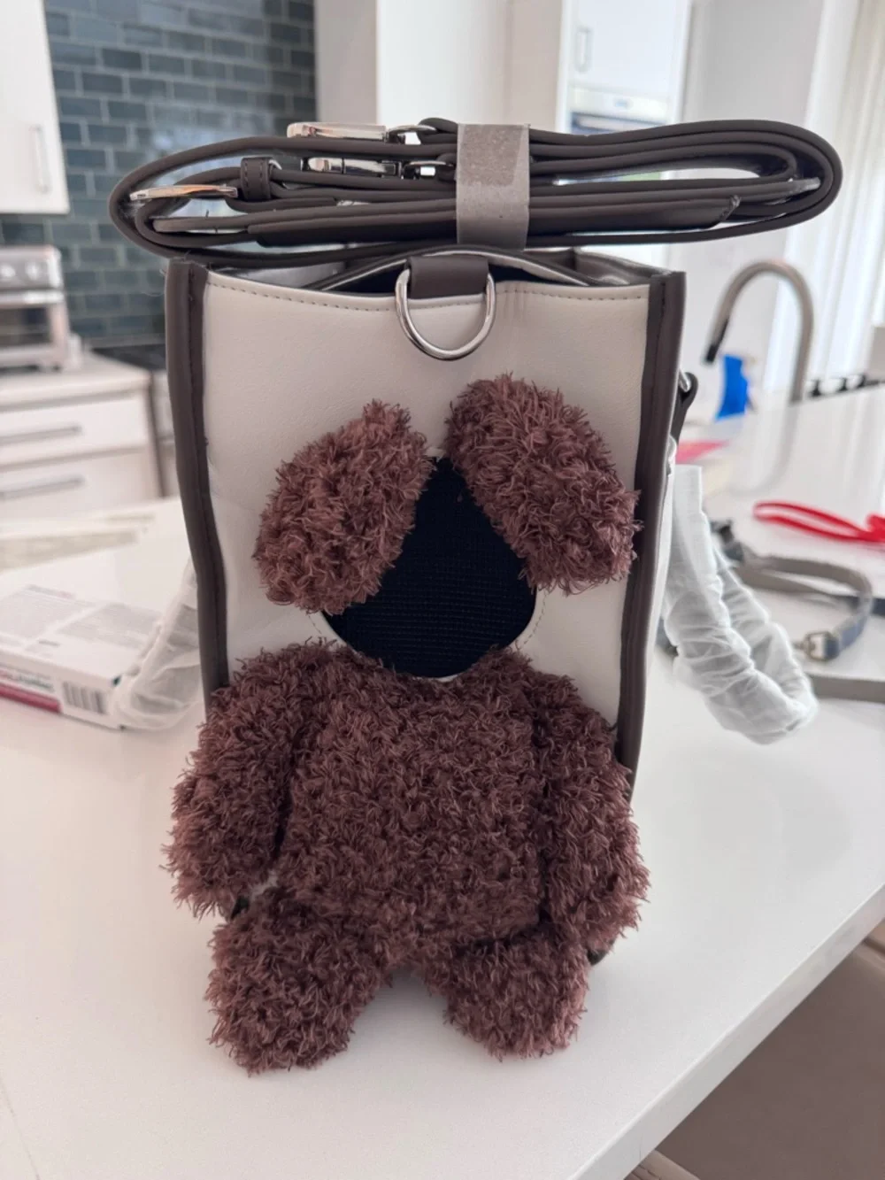 Miniature dog carrier with strap